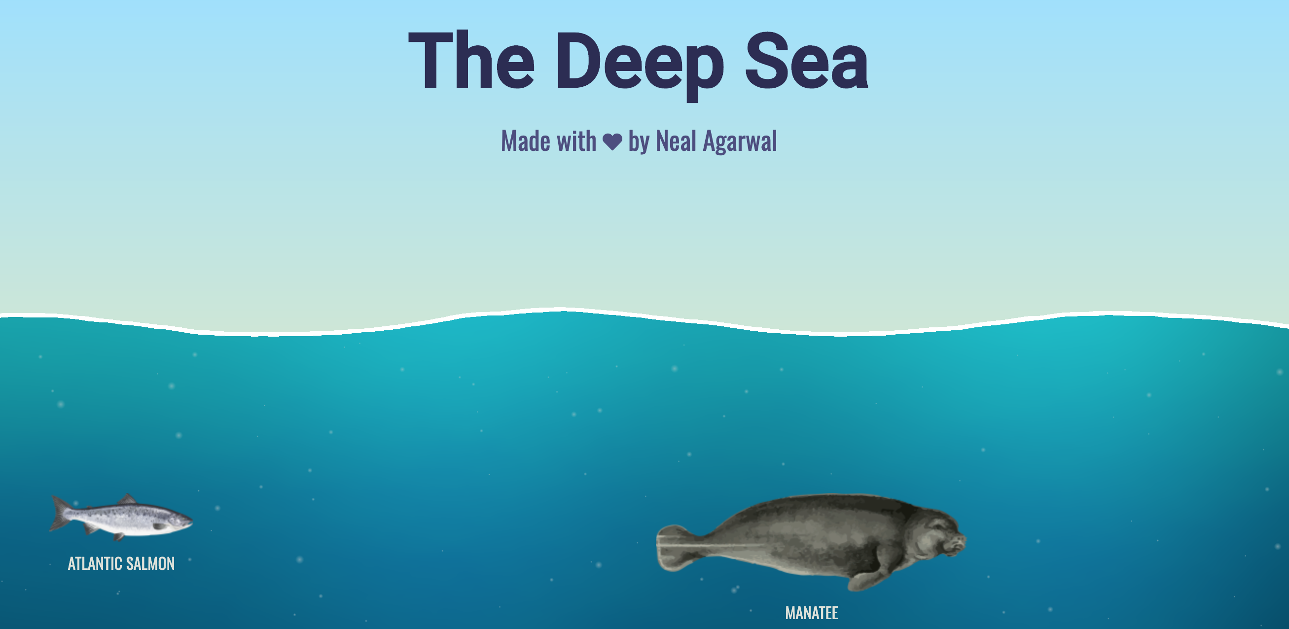 🐬 Découvrir nos fonds marins
