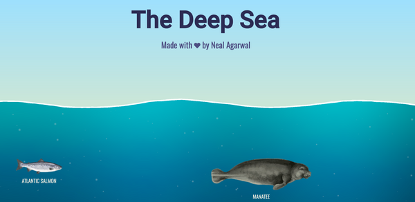 🐬 Découvrir nos fonds marins